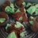 Cooksnap dari Dian Atmadja untuk resep Bolu Kukus Mekar Coklat Pandan