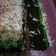 Cooksnap dari Mayaa Edriana untuk resep Brownies Kukus Coklat Pandan