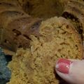 El cooksnap de Fulana Felina cuando hizo Budín de calabaza vegano, veloz y gasolero.