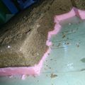 Cooksnap dari Siti Nurchasanah untuk resep Brownis kukus coklat pandan ekonomis