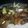 larissaoldenhof's cooksnap of when they made Amy's Mongolian Beef ..