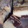 Cooksnap dari Kirei Na Tyas untuk resep Marmer cake