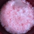 Cooksnap dari firdani antika untuk resep Es kopyor nutrigel ala vietta ranie