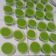 Cooksnap dari Dewi Masitoh untuk resep Puding lumut