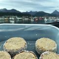 El cooksnap de Julieta Cassano cuando hizo Alfajores integrales con avena.