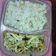 El cooksnap de Natalia Sosa cuando hizo Pollo deshebrado con cebolla y cilantro.