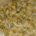 Cooksnap dari QueenBii untuk resep Kolak kacang hijau