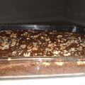 El cooksnap de Roo Molina cuando hizo Brownies de chocolate 🍫y nueces.💕.