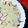 Farzana Memon 's cooksnap of when they made Firni.