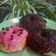 Cooksnap dari evaning pratiwi untuk resep Glaze donat homemade