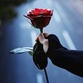 صورة من النازيه، شاركها بعد تجربة وصفة خلية النحل بعجينه زي القطن