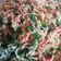 Cooksnap dari Indriyan Wijayanti untuk resep Urap sayur