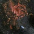 Cooksnap dari Bunda Erlangga untuk resep Sambal mentah jeruk nipis