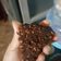 Cooksnap dari paras ayuba untuk resep Steamed Oatmeal Brownies