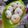 Cooksnap dari Melsy Pratiwi untuk resep 126. Donat Bertopink ala The Simpsons