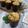 Cooksnap dari Mama Upay untuk resep Muffin Keju Bayam (gurih, less sugar, enaaak)