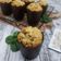 Cooksnap dari Mama Upay untuk resep Muffin Keju Bayam (gurih, less sugar, enaaak)