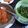 Cooksnap dari Desy Afrianti untuk resep 158. Plecing Kangkung