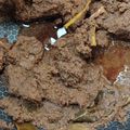 Cooksnap dari Ubby Dwi untuk resep Rendang daging sapi empuk