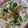 Cooksnap dari Doradori untuk resep Sayur bobor bayam dan labu siam