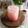 Cooksnap dari Rika Erviana untuk resep Ice Soda Senyum with Cocopandan Syrup