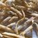 Cooksnap dari Januar Tias Mandasari untuk resep Garlic Stick with Celery