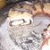 El cooksnap de Gise Kaufmanas cuando hizo Rosca de Pascua de Osvaldo Gross.