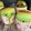 Cooksnap dari Realita Sitorus untuk resep Muffin Pandan Keju (w.20)