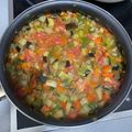 El cooksnap de Auxi Martín Calvo cuando hizo Pisto casero bajo en calorías.