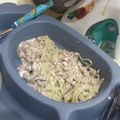 Cooksnap dari Amelia Karnelia untuk resep Mie pipih Carbonara MPASI