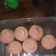 Cooksnap dari Flora Oktasari untuk resep 🍡Kue Mangkok mekar (Apem) NO Tape🍡
