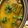Priyanka Chirayu Oza's cooksnap of when they made સરગવા ની દાળ (Saragva Dal Recipe In Gujarati).