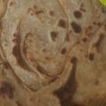 Komal Gupta का कुकस्नैप जब उन्होंने मेथी का पराठा (methi ka paratha recipe in Hindi) बनाया था।