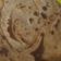 Komal Gupta का कुकस्नैप जब उन्होंने मेथी का पराठा (methi ka paratha recipe in Hindi) बनाया था।