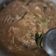 Cooksnap dari Rachmi Phonna Putri untuk resep Tumis ikan khas Aceh (kuah teucrah)