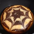 Sangita Vyas's cooksnap of when they made માર્બલ કેક(marble cake recipe in gujarati).