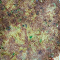 Cooksnap dari Dewi Supriyantini untuk resep #05 Telur Dadar ala RM Padang #BikinRamadanBerkesan