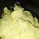 Cooksnap dari kurnia widhi untuk resep Butter cream blue band chennie zhang