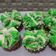 Cooksnap dari Siti Zulaichah untuk resep Bolu Kukus Mekar (mekar sempurna)