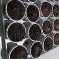 Cooksnap dari Rahmi untuk resep Muffin coklat no mixer anti gagal