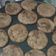 El cooksnap de Flopihxta cuando hizo Galletitas de chocolate 🍫 ♡.