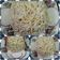صورة من طـبخآت يآسـمـين🌹🌷، شاركها بعد تجربة وصفة 🍝 معكرونة بالفطر 🍄