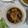 Cooksnap dari Reviany Vieffyne untuk resep Ayam Kuah Kecap