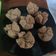 Cooksnap dari Susilowati untuk resep Kue bolu kukus gula merah ngakak