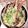 范家汶 的 蒜蓉蒸龍蝦 cooksnap