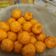 Cooksnap dari ayoenyang untuk resep Bola Bola Ubi Merah