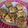 El cooksnap de Gime cuando hizo Galletas de avena y coco 120 cal x porcion (4 galletitas).