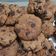 El cooksnap de Cati Martínez Cano cuando hizo Galletas con pepitas de choco (cookies).