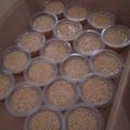 Cooksnap dari Save_T Myelba_store untuk resep Puding lumut gula merah