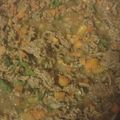 EsaPandaChula's cooksnap of when they made easy ground beef dish.